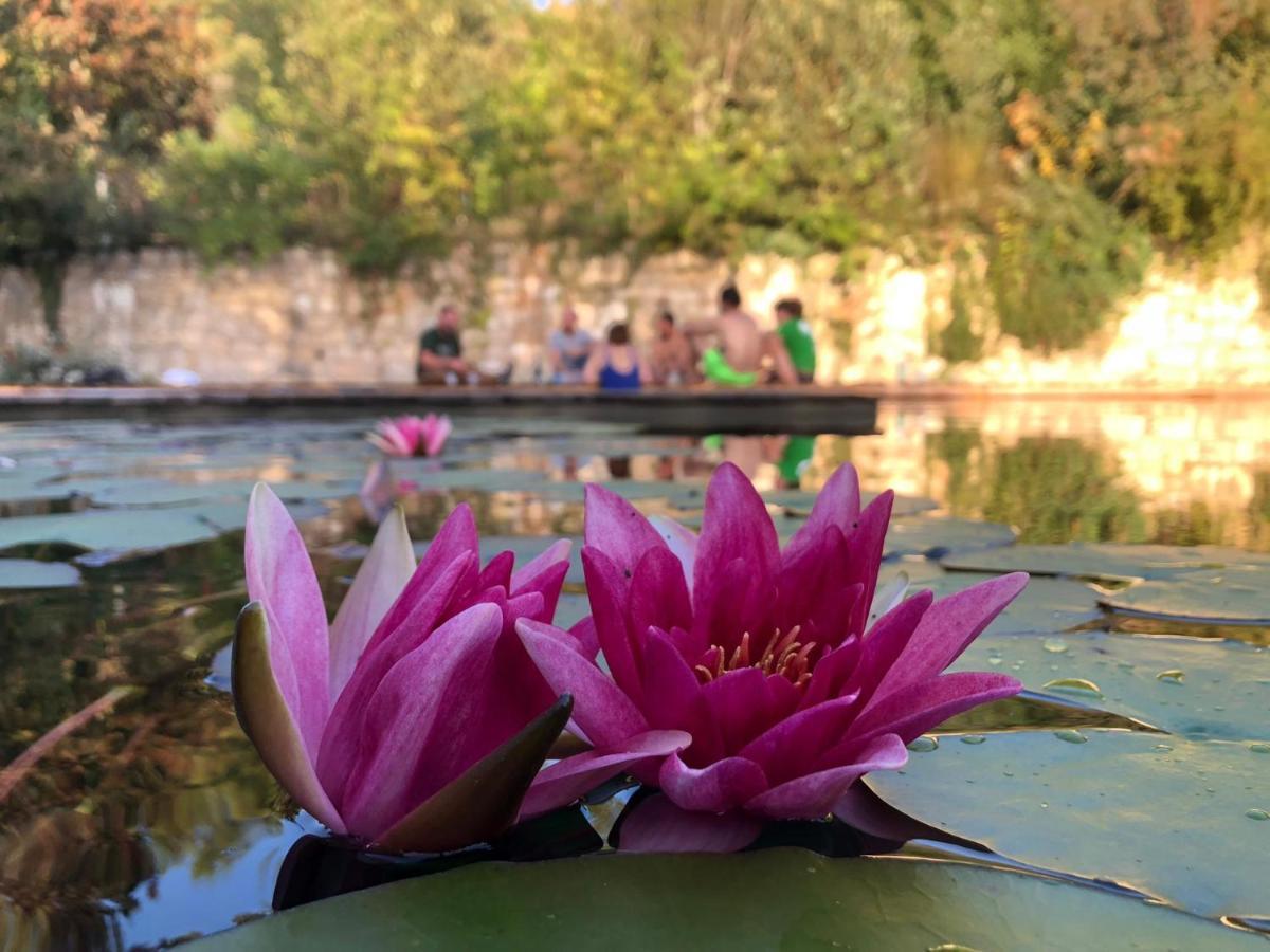 Grand Gite Les Cabanes De Fallot Pour 19 Personnes - Piscine Naturelle L'isle-Bouzon Exterior foto